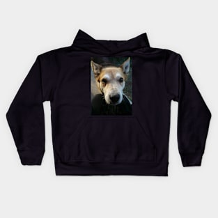 Getting Eyeballed by Rex Kids Hoodie